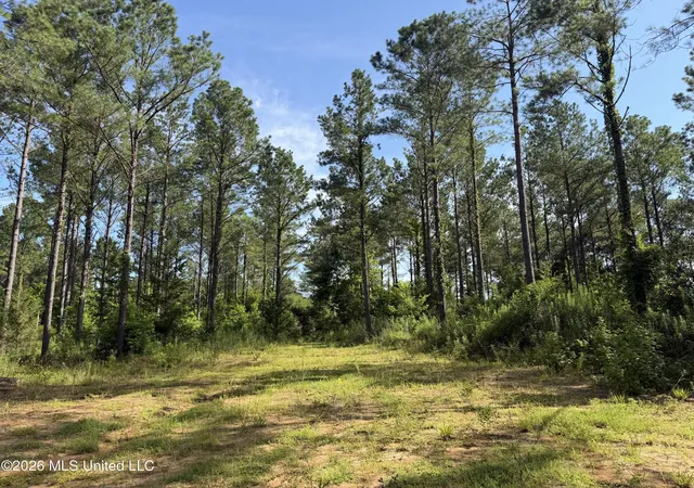 Photo 4 of Land for sale at Vaughan Rd, Vaughan, MS 39179 | MLS# 4156152 | Listing updated on 2026-07-17