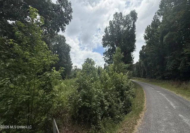 Photo 1 of Land for sale at Matthews Dr, Byhalia, MS 38611 | MLS# 4156238 | Listing updated on 2026-07-17
