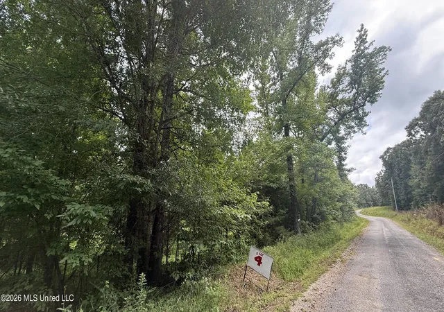 Photo 3 of Land for sale at Matthews Dr, Byhalia, MS 38611 | MLS# 4156238 | Listing updated on 2026-07-17
