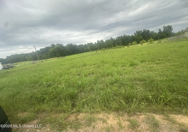 Photo 2 of Land for sale at 78 Boone Rd, Holly Springs, MS 38635 | MLS# 4156155 | Listing updated on 2026-08-21