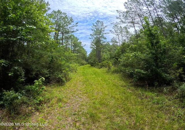 Land for sale at N Sones Chapel Rd, Carriere, MS 39426 | MLS# 4156184