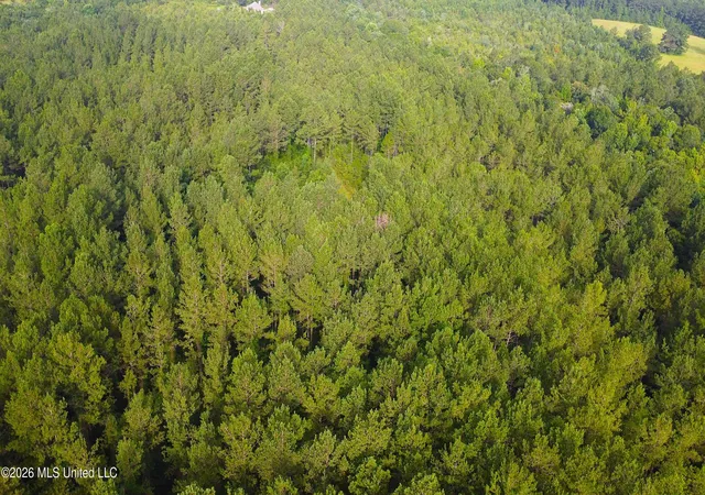 Photo 2 of Land for sale at N Sones Chapel Rd, Carriere, MS 39426 | MLS# 4156184 | Listing updated on 2026-07-17