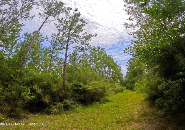 Photo 3 of Land for sale at N Sones Chapel Rd, Carriere, MS 39426 | MLS# 4156184 | Listing updated on 2026-07-17
