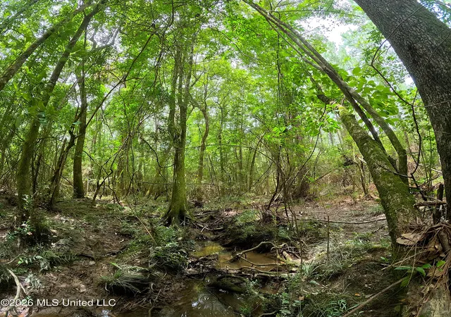 Photo 3 of Land for sale at N Sones Chapel Rd, Carriere, MS 39426 | MLS# 4156184 | Listing updated on 2026-09-25