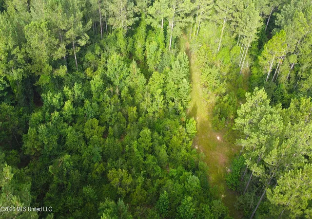 Photo 4 of Land for sale at N Sones Chapel Rd, Carriere, MS 39426 | MLS# 4156184 | Listing updated on 2026-09-25