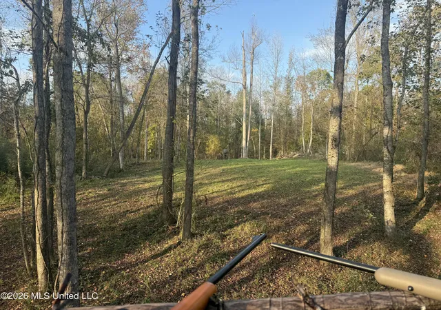 Photo 2 of Land for sale at 23 Pheasant Rd, Roxie, MS 39661 | MLS# 4156220 | Listing updated on 2026-07-20
