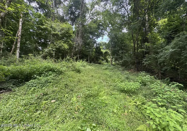 Photo 31 of Land for sale at 23 Pheasant Rd, Roxie, MS 39661 | MLS# 4156220 | Listing updated on 2026-07-20