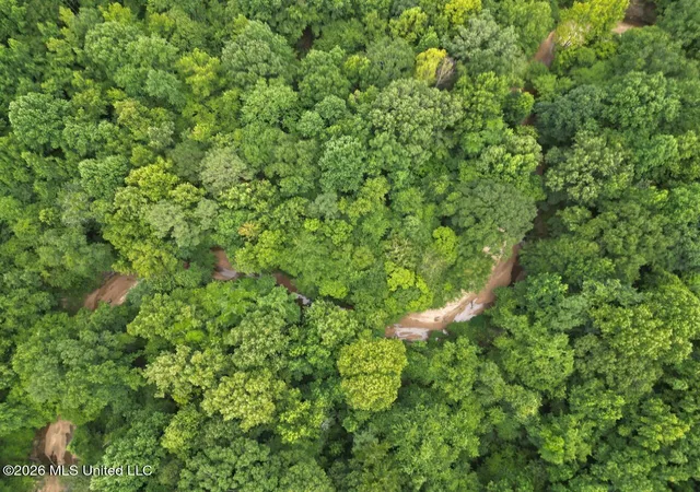 Photo 4 of Land for sale at 23 Pheasant Rd, Roxie, MS 39661 | MLS# 4156220 | Listing updated on 2026-07-20