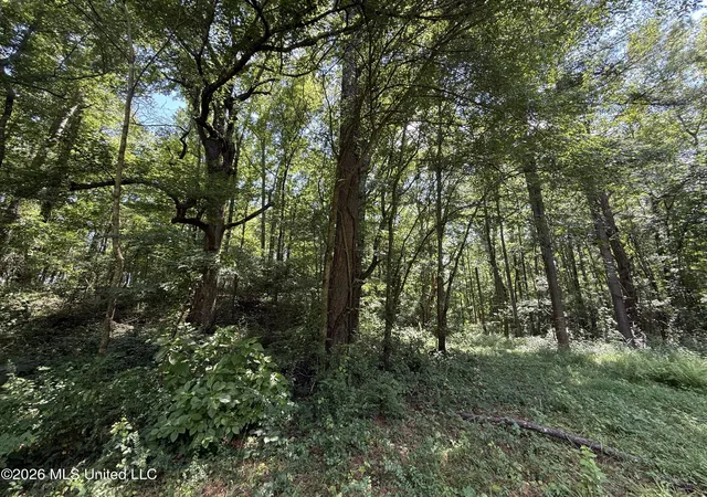 Photo 4 of Sale Pending at County Rd 2251, Kosciusko, MS 39090 | MLS# 4156247 | Listing updated on 2026-08-04