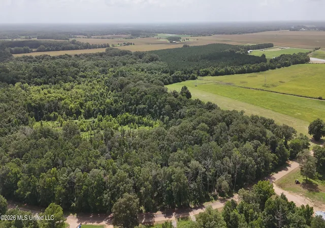 Photo 1 of Land for sale at N Sandhill Rd, Lena, MS 39094 | MLS# 4156263 | Listing updated on 2026-07-17