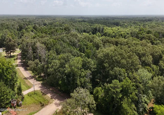 Photo 3 of Land for sale at N Sandhill Rd, Lena, MS 39094 | MLS# 4156263 | Listing updated on 2026-07-17