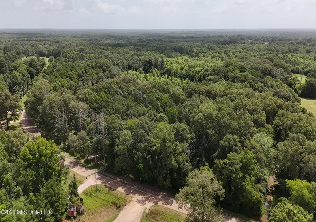 Photo 3 of Land for sale at N Sandhill Rd, Lena, MS 39094 | MLS# 4156263 | Listing updated on 2026-07-17