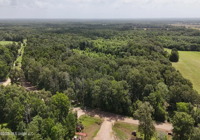 Photo 4 of Land for sale at N Sandhill Rd, Lena, MS 39094 | MLS# 4156263 | Listing updated on 2026-07-17