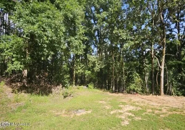 Photo 23 of Sale Pending at 185 County Rd 321, Oxford, MS 38655 | MLS# 4156349 | Listing updated on 2026-08-28