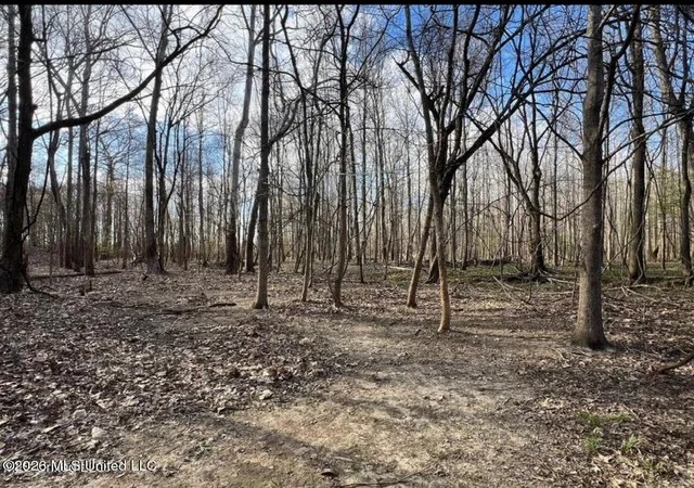 Photo 1 of Land for sale at Fogg Rd, Hernando, MS 38632 | MLS# 4156392 | Listing updated on 2026-07-19