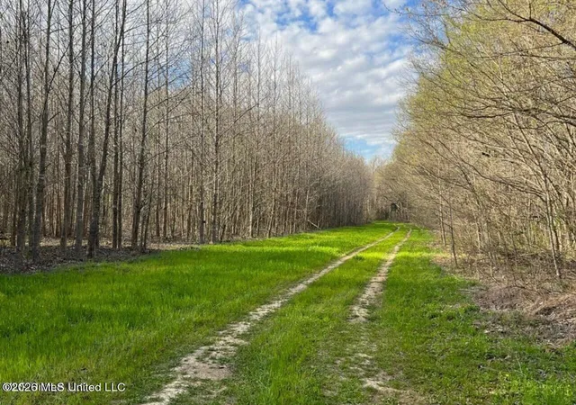 Photo 2 of Land for sale at Fogg Rd, Hernando, MS 38632 | MLS# 4156392 | Listing updated on 2026-07-19