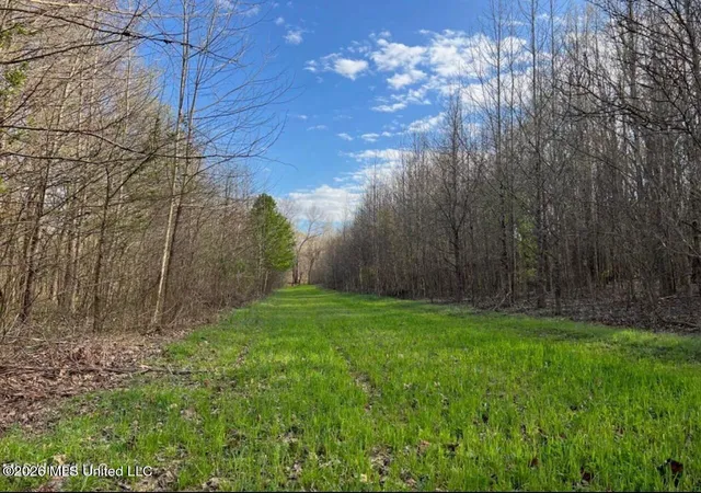 Photo 3 of Land for sale at Fogg Rd, Hernando, MS 38632 | MLS# 4156392 | Listing updated on 2026-07-19