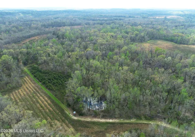 Photo 1 of Land for sale at Chinqupin Rd, Lexington, MS 39095 | MLS# 4156362 | Listing updated on 2026-07-18