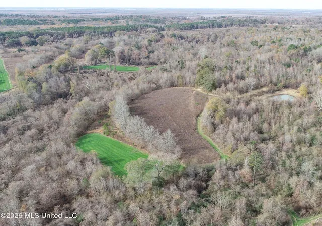 Photo 3 of Land for sale at Chinqupin Rd, Lexington, MS 39095 | MLS# 4156362 | Listing updated on 2026-07-18