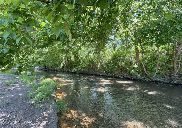 Photo 4 of Land for sale at Chinqupin Rd, Lexington, MS 39095 | MLS# 4156362 | Listing updated on 2026-07-18