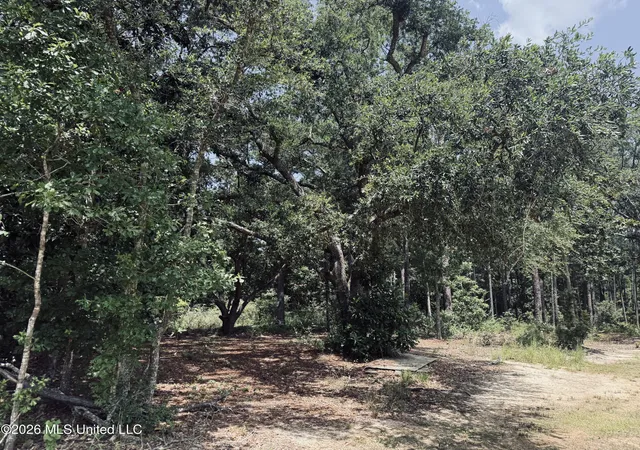 Photo 3 of Land for sale at 000 Old Spanish Trl, Ocean Springs, MS 39564 | MLS# 4156405 | Listing updated on 2026-07-19
