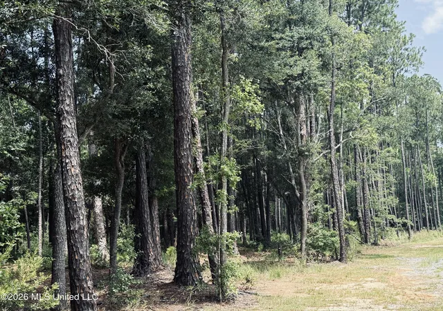 Photo 3 of Land for sale at 000 Old Spanish Trl, Ocean Springs, MS 39564 | MLS# 4156405 | Listing updated on 2026-07-19