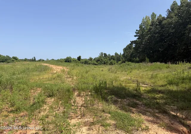 Photo 3 of Sale Pending at 001 State Blvd, Meridian, MS 39307 | MLS# 4156545 | Listing updated on 2026-08-14