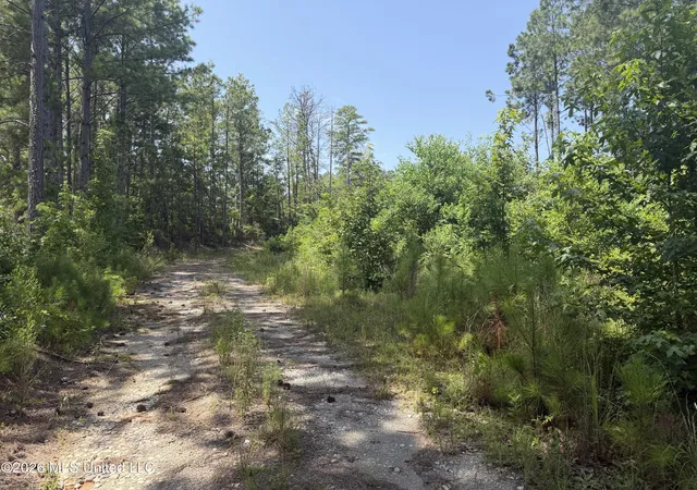 Photo 57 of Sale Pending at 001 State Blvd, Meridian, MS 39307 | MLS# 4156545 | Listing updated on 2026-08-14