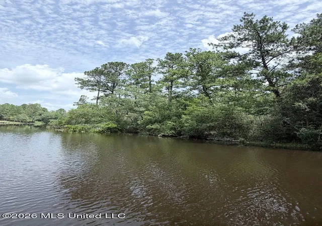 3rd image of Flurry Dr, Perkinston, MS 39573 | MLS# 4156426