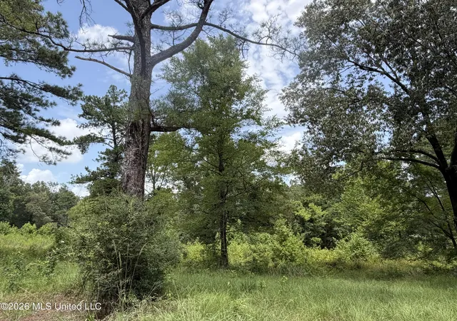 Photo 2 of Land for sale at Mannsdale Rd, Madison, MS 39110 | MLS# 4156444 | Listing updated on 2026-08-05