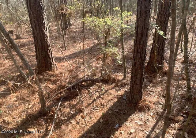 Photo 1 of Land for sale at 00 Pine Grv Ln, Wesson, MS 39191 | MLS# 4156451 | Listing updated on 2026-07-20