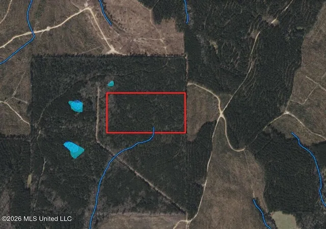 Photo 2 of Land for sale at 00 Pine Grv Ln, Wesson, MS 39191 | MLS# 4156451 | Listing updated on 2026-07-20