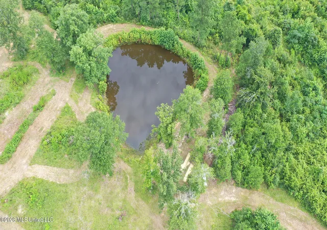 Photo 3 of Land for sale at 0 Ed Thomas Rd, Summit, MS 39666 | MLS# 4156561 | Listing updated on 2026-07-21
