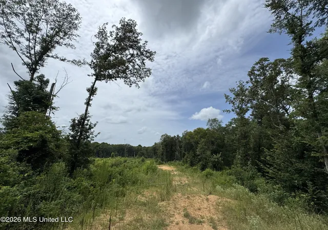 Photo 3 of Land for sale at W Gallatin St, Hazlehurst, MS 39083 | MLS# 4156473 | Listing updated on 2026-09-17
