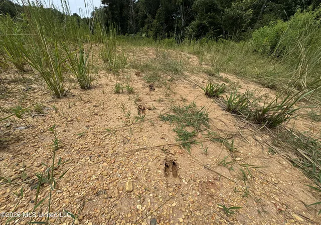 Photo 4 of Land for sale at W Gallatin St, Hazlehurst, MS 39083 | MLS# 4156473 | Listing updated on 2026-09-17
