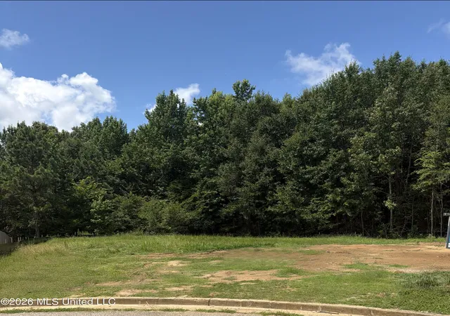 Photo 1 of Land for sale at 8015 Christian Ct, Olive Branch, MS 38654 | MLS# 4156490 | Listing updated on 2026-07-28