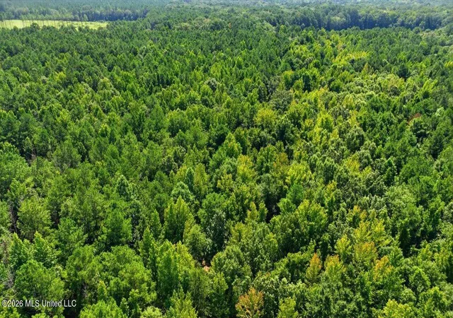 Photo 1 of Land for sale at 042 Potluck Rd, Canton, MS 39046 | MLS# 4156564 | Listing updated on 2026-07-21