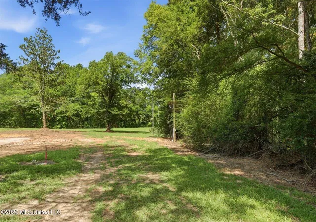Photo 3 of Land for sale at 042 Potluck Rd, Canton, MS 39046 | MLS# 4156564 | Listing updated on 2026-07-21