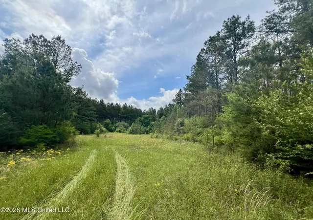 Photo 1 of Land for sale at Ne Highway 44, Summit, MS 39666 | MLS# 4156533 | Listing updated on 2026-07-21