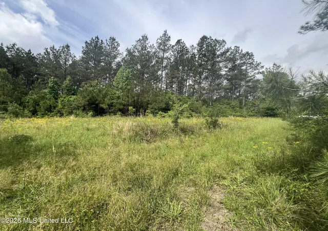 Photo 2 of Land for sale at Ne Highway 44, Summit, MS 39666 | MLS# 4156533 | Listing updated on 2026-07-21