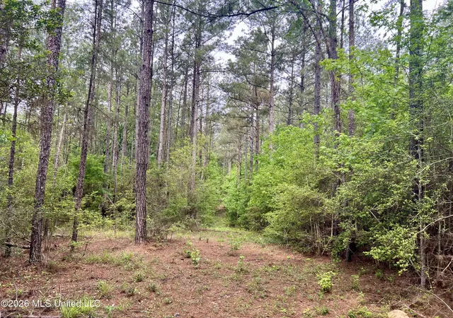 Photo 3 of Land for sale at Ne Highway 44, Summit, MS 39666 | MLS# 4156533 | Listing updated on 2026-07-21