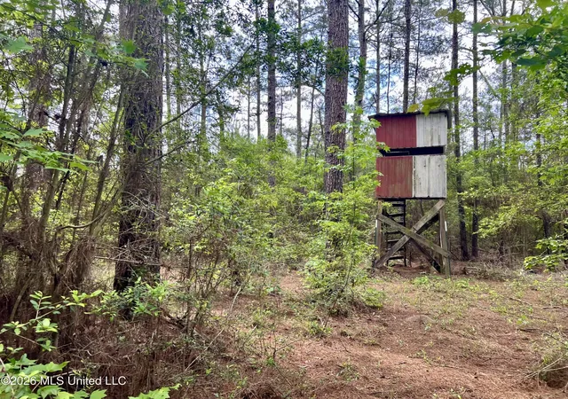 Photo 3 of Land for sale at NE Highway 44, Summit, MS 39666 | MLS# 4156533 | Listing updated on 2026-07-21