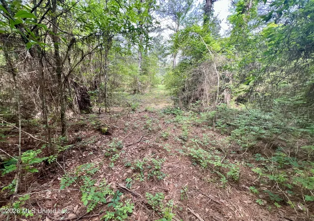 Photo 4 of Land for sale at NE Highway 44, Summit, MS 39666 | MLS# 4156533 | Listing updated on 2026-07-21