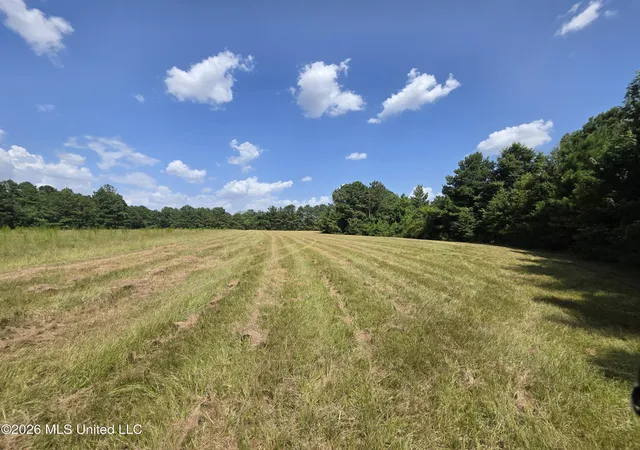 Photo 1 of Land for sale at Mount Carmel Rd, Prentiss, MS 39474 | MLS# 4156539 | Listing updated on 2026-07-21