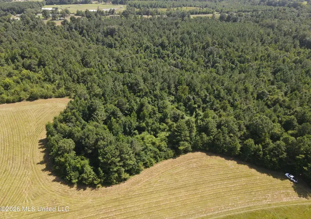 Photo 2 of Land for sale at Mount Carmel Rd, Prentiss, MS 39474 | MLS# 4156539 | Listing updated on 2026-07-21