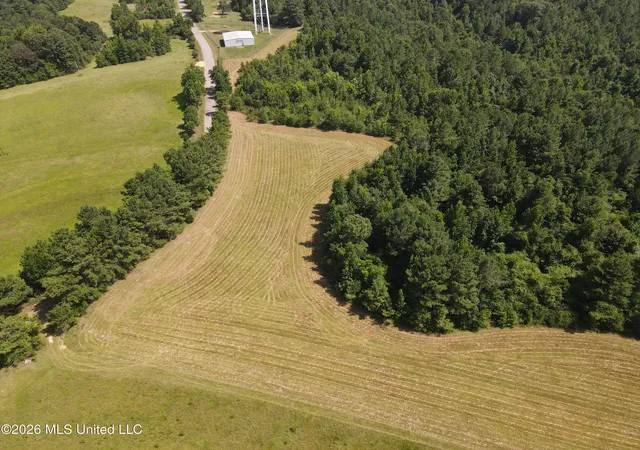 Photo 3 of Land for sale at Mount Carmel Rd, Prentiss, MS 39474 | MLS# 4156539 | Listing updated on 2026-07-21