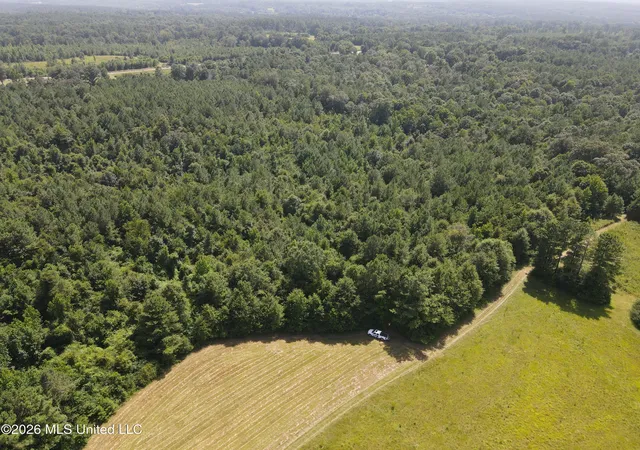 Photo 3 of Land for sale at Mount Carmel Rd, Prentiss, MS 39474 | MLS# 4156539 | Listing updated on 2026-07-21