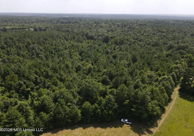 Photo 4 of Land for sale at Mount Carmel Rd, Prentiss, MS 39474 | MLS# 4156539 | Listing updated on 2026-07-21