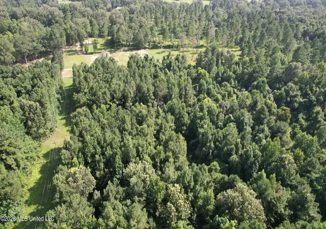 Photo 8 of Land for sale at Old Hwy 24, Centreville, MS 39631 | MLS# 4156567 | Listing updated on 2026-07-21