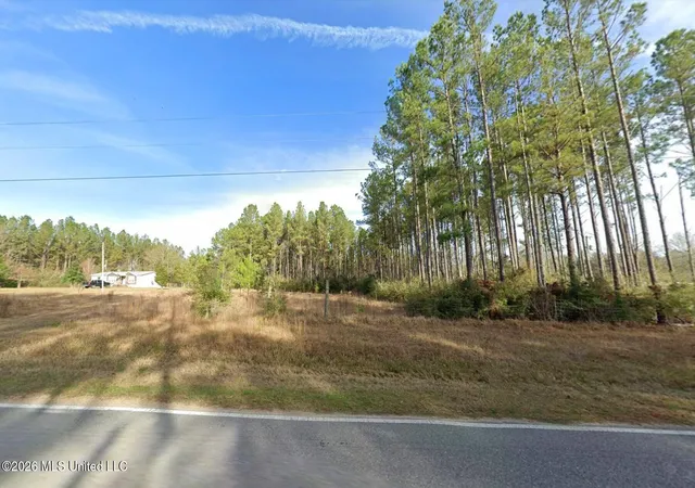 2nd image of 2200 Mount Pleasant Rd, Lucedale, MS 39452 | MLS# 4156568
